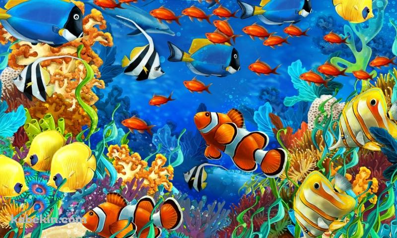 熱帯魚 水族館の壁紙(800px x 480px) 高画質 PC・デスクトップ用