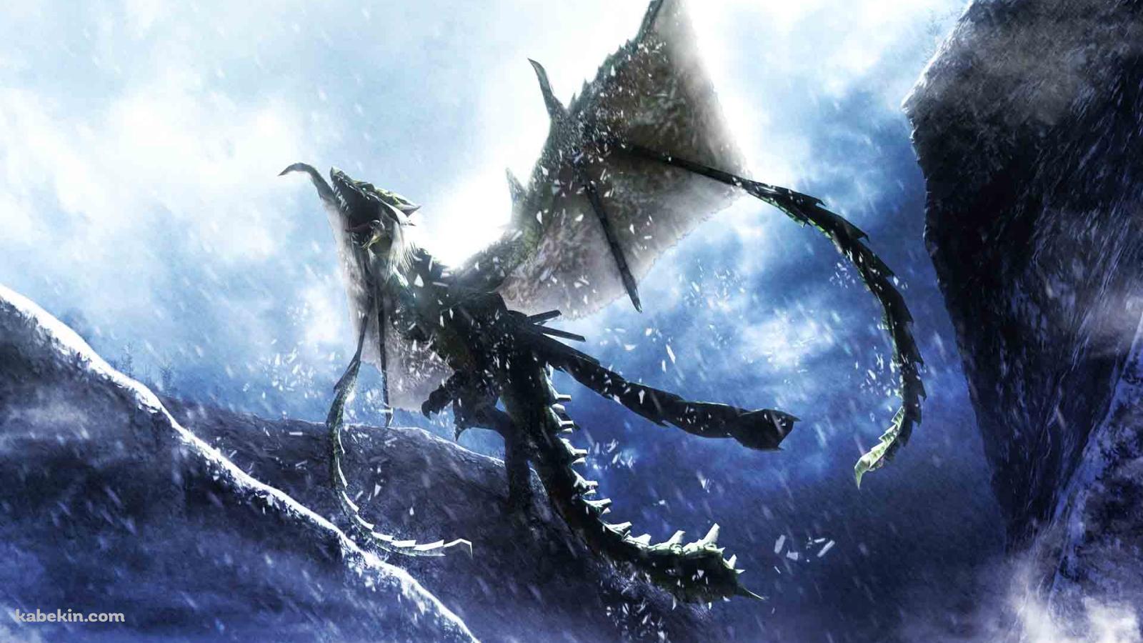モンハン ドラギュロスの壁紙(1600px x 900px) 高画質 PC・デスクトップ用