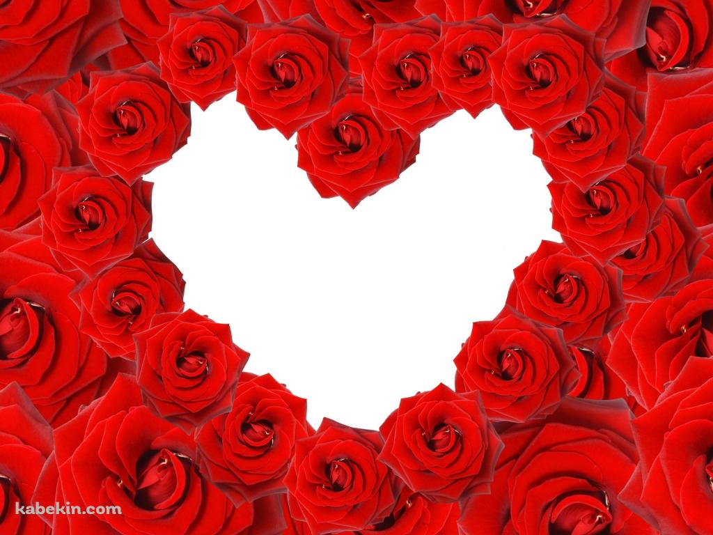 赤い薔薇 ハートの壁紙(1024px x 768px) 高画質 PC・デスクトップ用