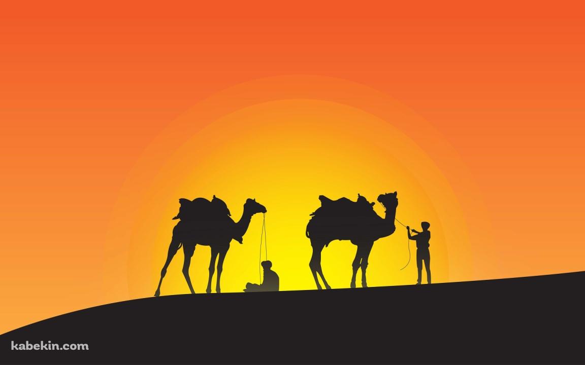 夕陽 キャラバン ラクダの壁紙(1152px x 720px) 高画質 PC・デスクトップ用