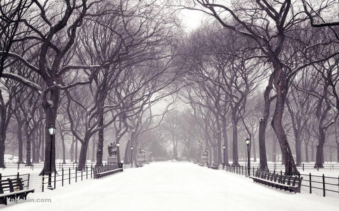 冬の公園 雪景色の壁紙(1152px x 720px) 高画質 PC・デスクトップ用
