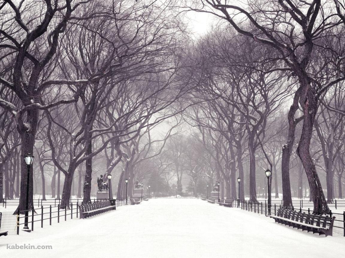 冬の公園 雪景色の壁紙(1152px x 864px) 高画質 PC・デスクトップ用