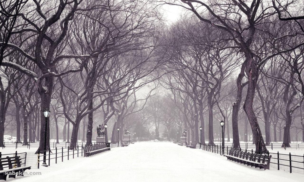 冬の公園 雪景色の壁紙(1280px x 768px) 高画質 PC・デスクトップ用