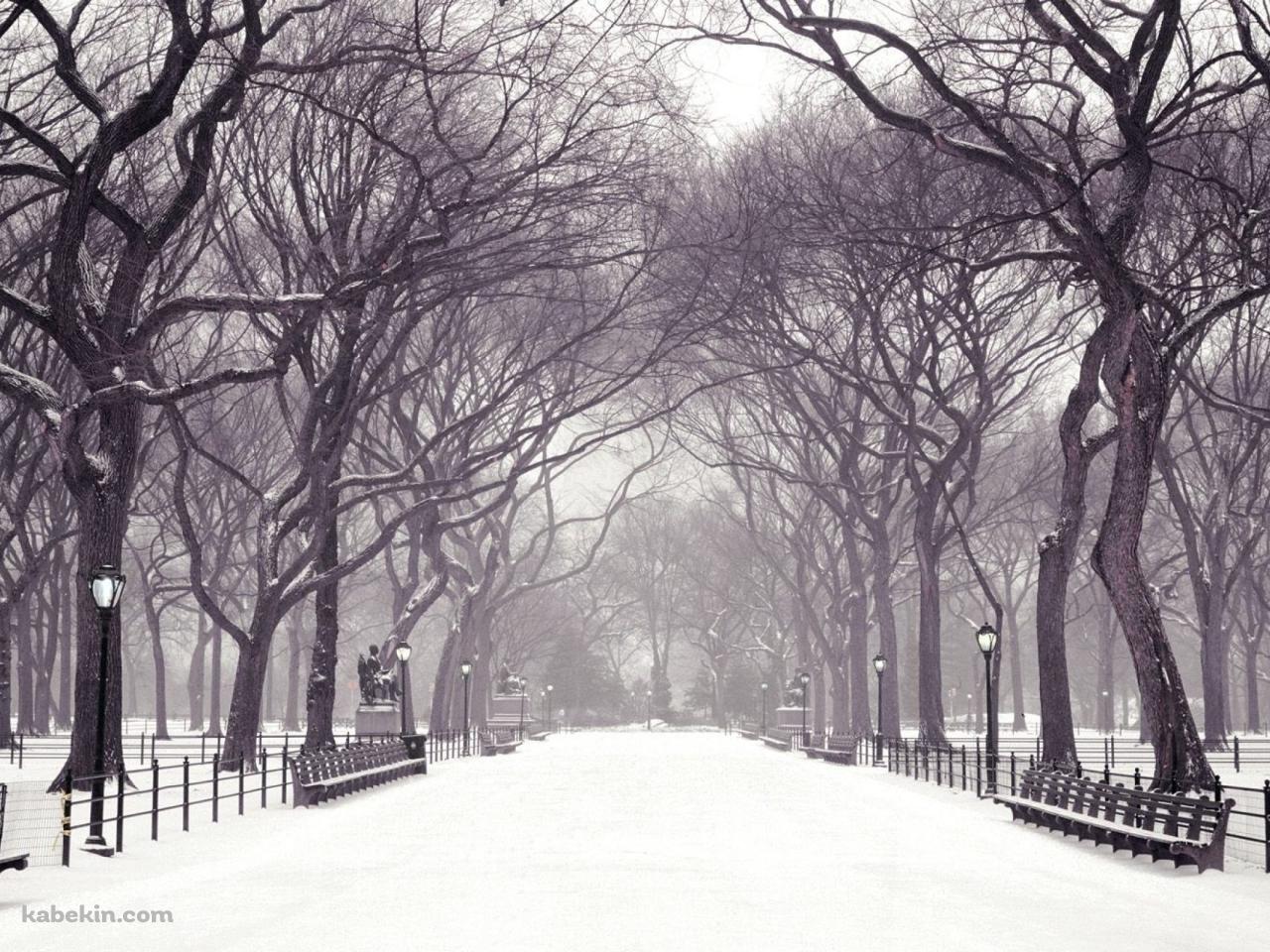 冬の公園 雪景色の壁紙(1280px x 960px) 高画質 PC・デスクトップ用