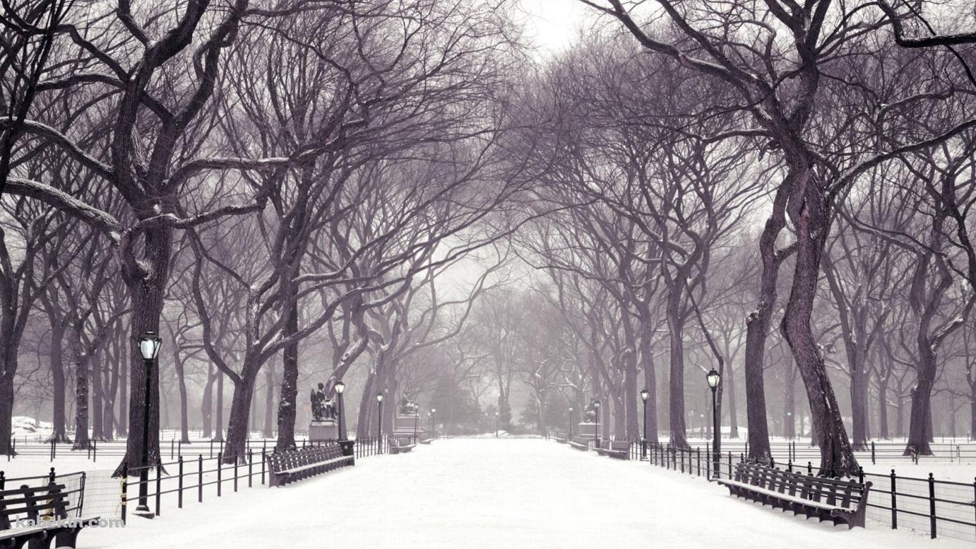 冬の公園 雪景色の壁紙(1366px x 768px) 高画質 PC・デスクトップ用