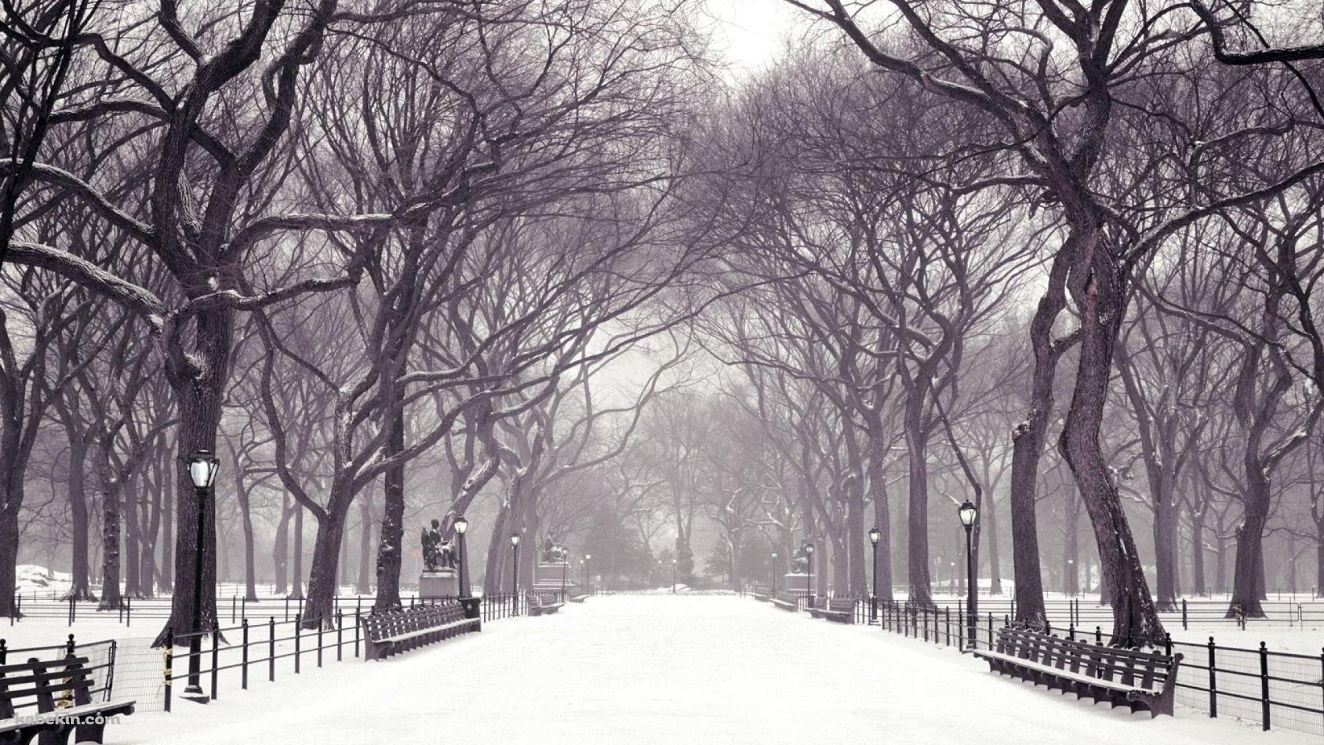 冬の公園 雪景色の壁紙(1920px x 1080px) 高画質 PC・デスクトップ用
