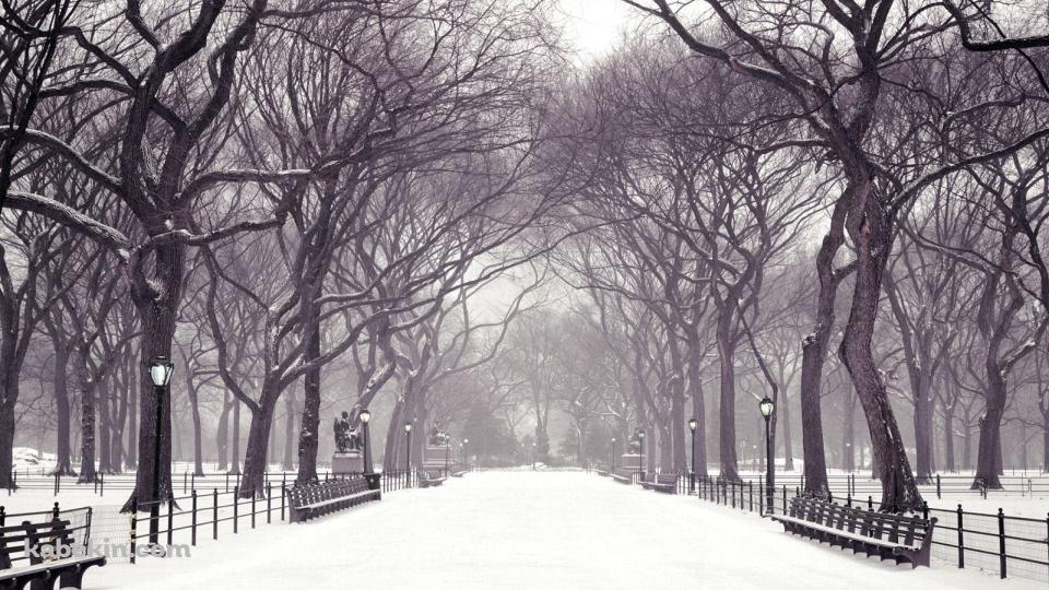 冬の公園 雪景色の壁紙(960px x 540px) 高画質 PC・デスクトップ用