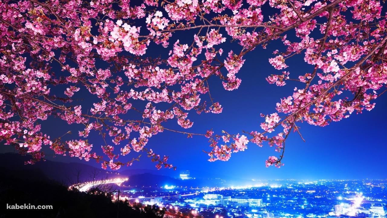 夜景と桜の壁紙(1280px x 720px) 高画質 PC・デスクトップ用