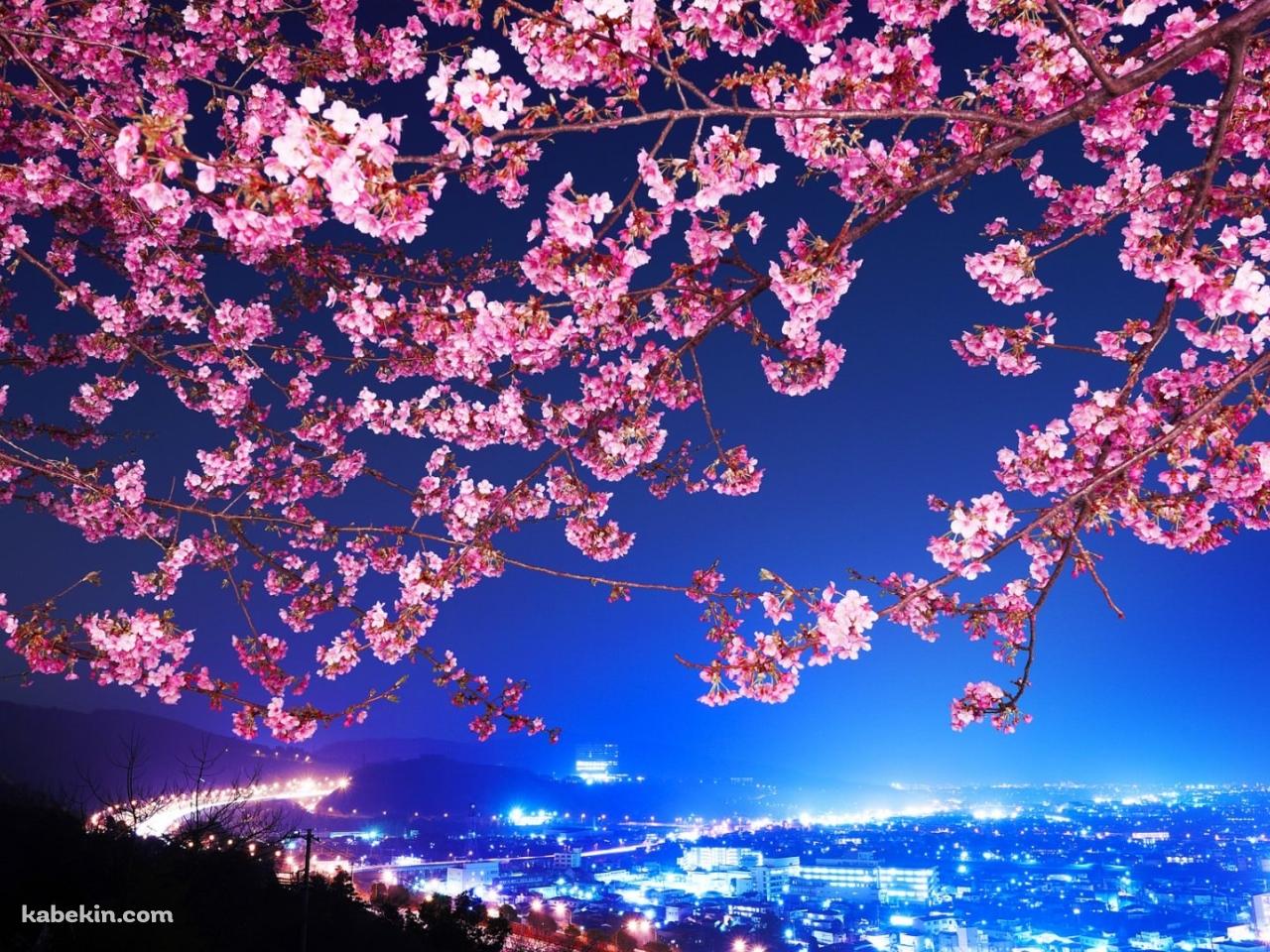 夜景と桜の壁紙(1280px x 960px) 高画質 PC・デスクトップ用