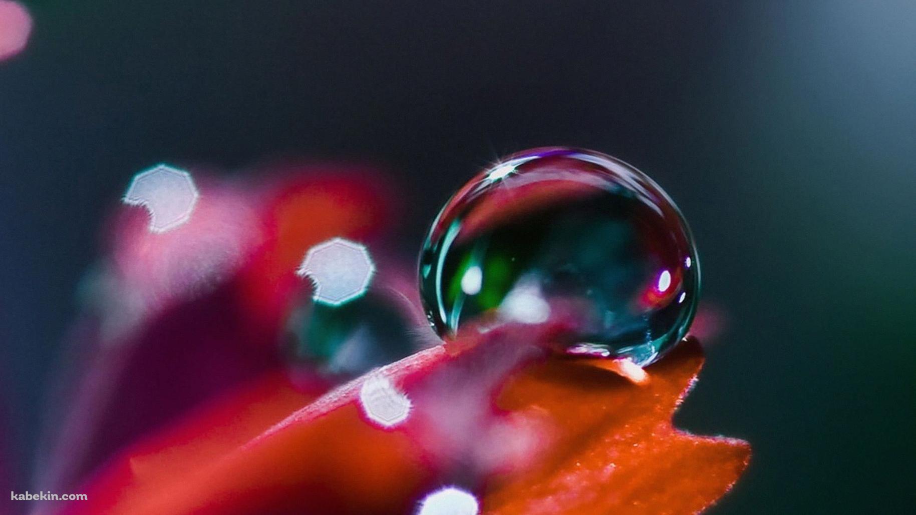 葉の水滴の壁紙(1829px x 1029px) 高画質 PC・デスクトップ用