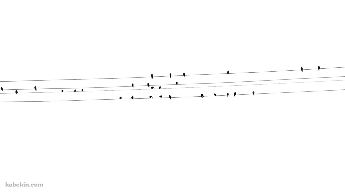 電線にとまる小鳥の壁紙(1391px x 783px) 高画質 PC・デスクトップ用