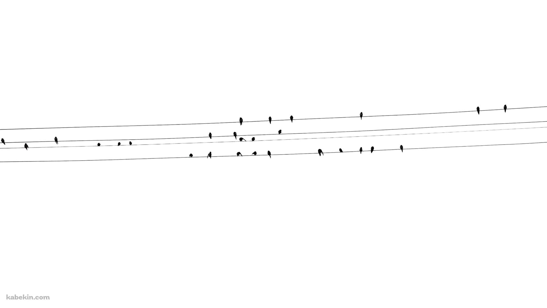 電線にとまる小鳥の壁紙(1920px x 1080px) 高画質 PC・デスクトップ用