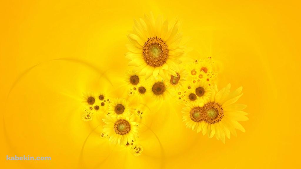 sunflowerの壁紙(1024px x 576px) 高画質 PC・デスクトップ用