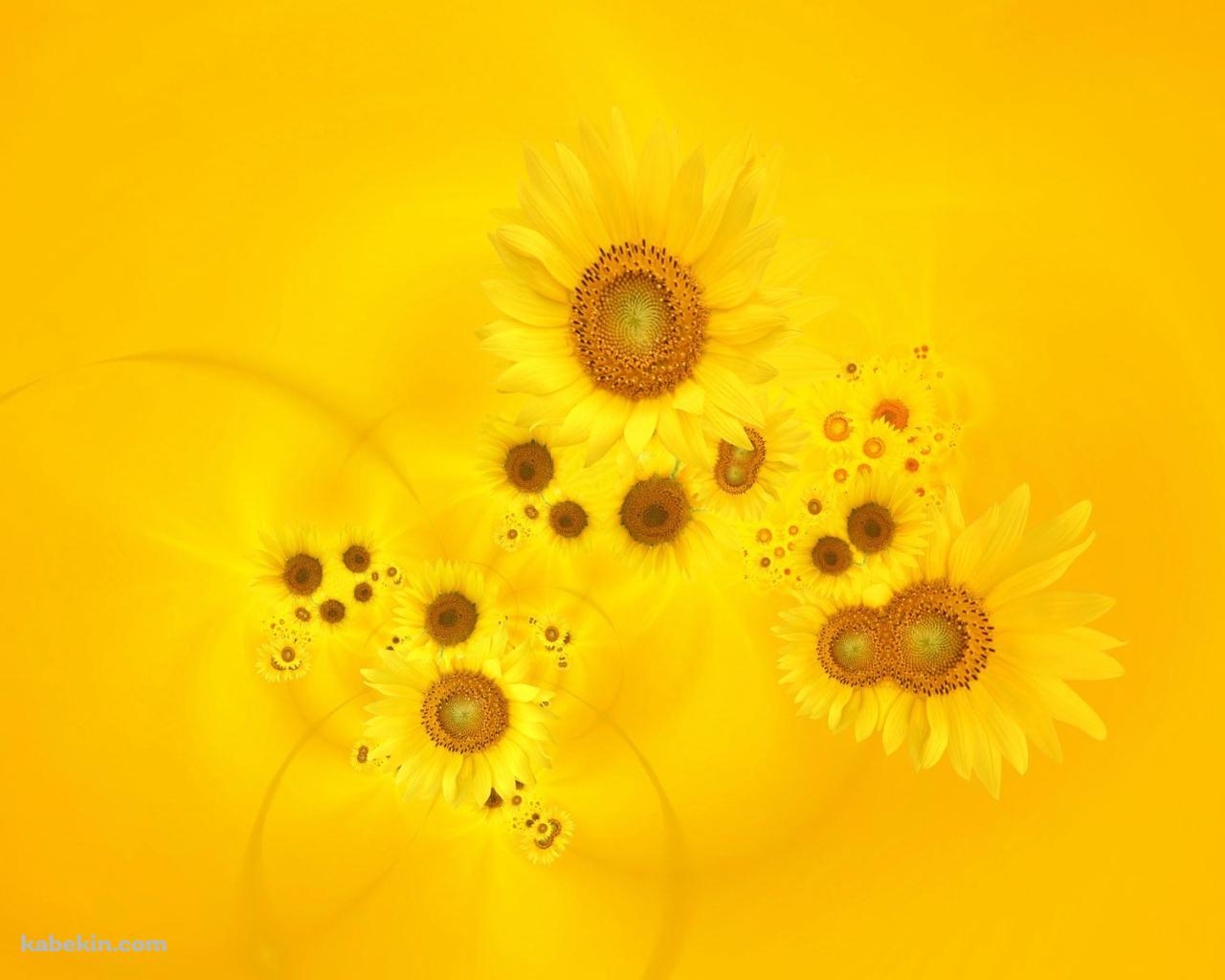 sunflowerの壁紙(1280px x 1024px) 高画質 PC・デスクトップ用