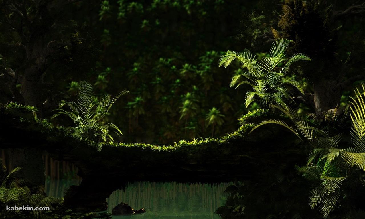 熱帯林の壁紙(1280px x 768px) 高画質 PC・デスクトップ用