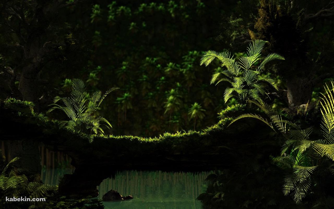 熱帯林の壁紙(1280px x 800px) 高画質 PC・デスクトップ用