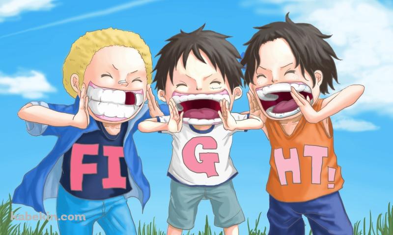 ONE PIECE FIGHTの壁紙(800px x 480px) 高画質 PC・デスクトップ用