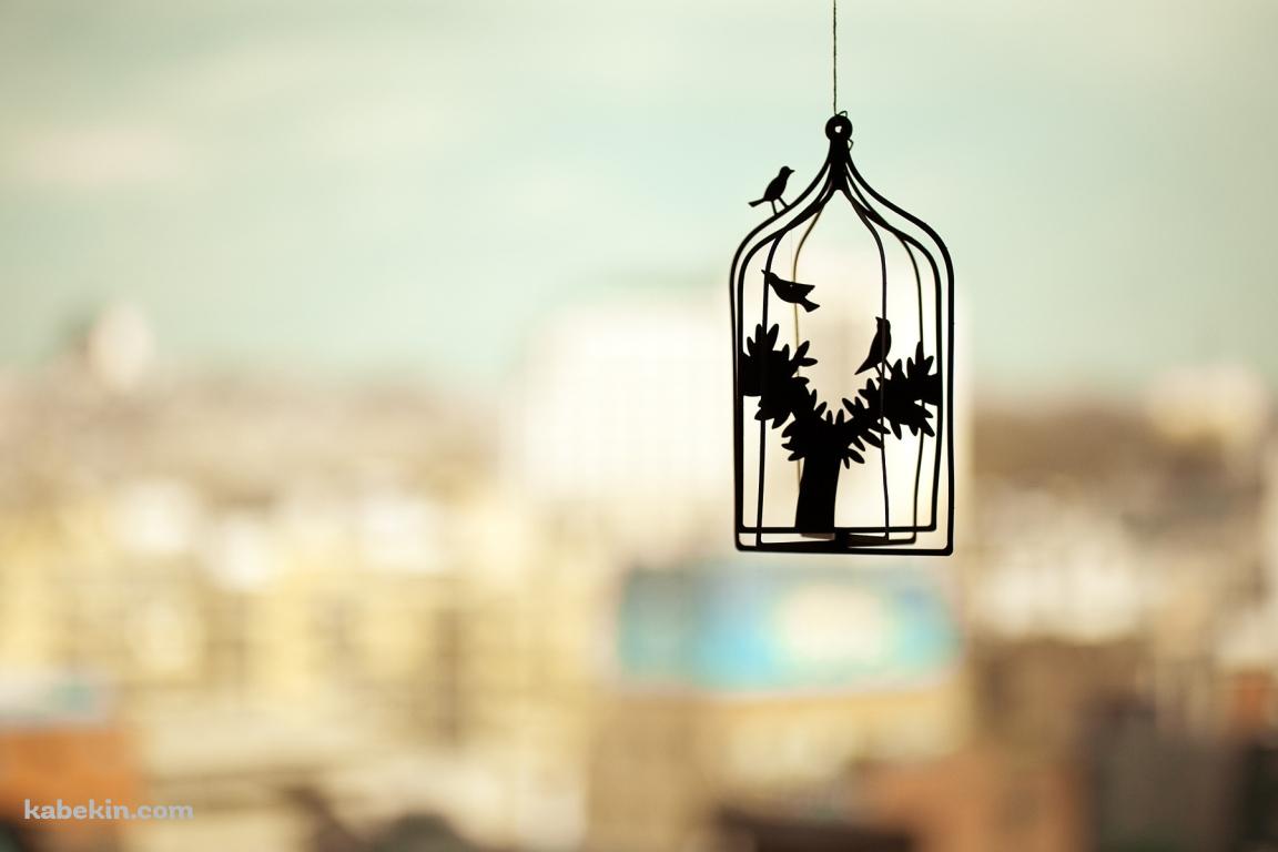 籠の中の鳥の壁紙(1152px x 768px) 高画質 PC・デスクトップ用