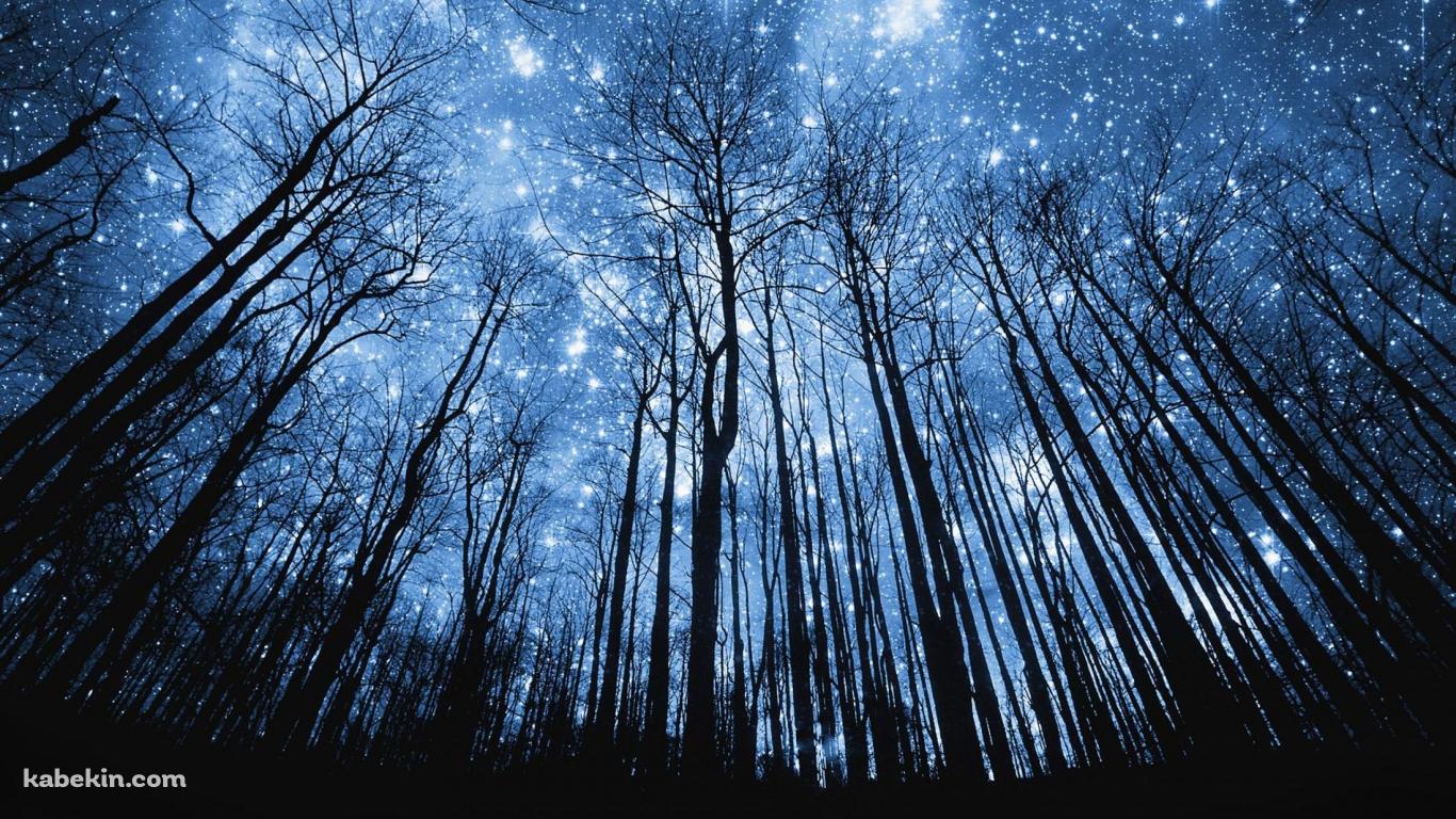 星空と林の壁紙(1366px x 768px) 高画質 PC・デスクトップ用