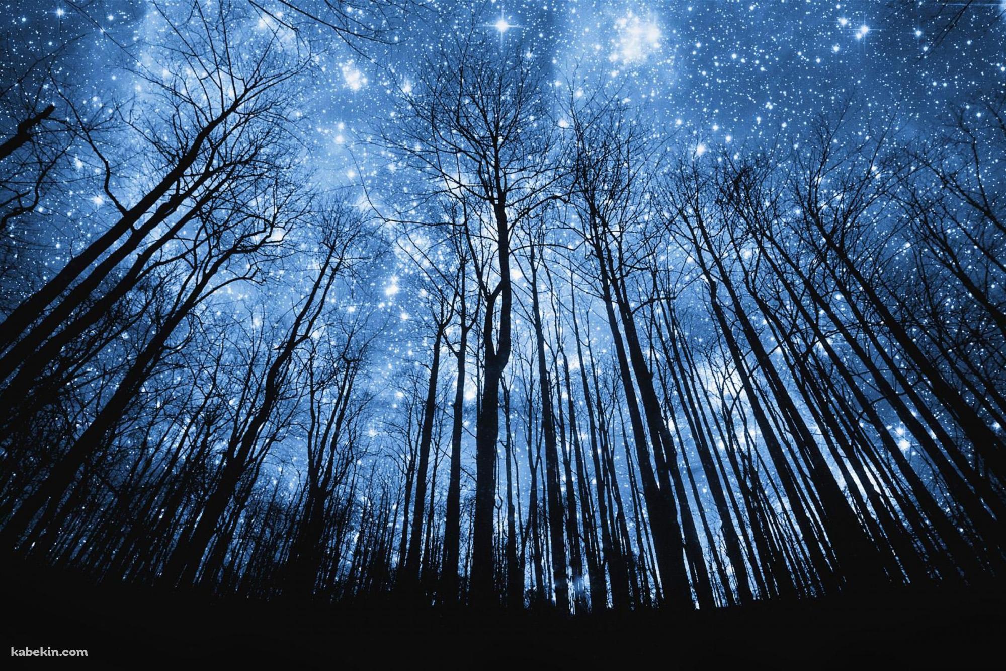 星空と林の壁紙(2000px x 1333px) 高画質 PC・デスクトップ用