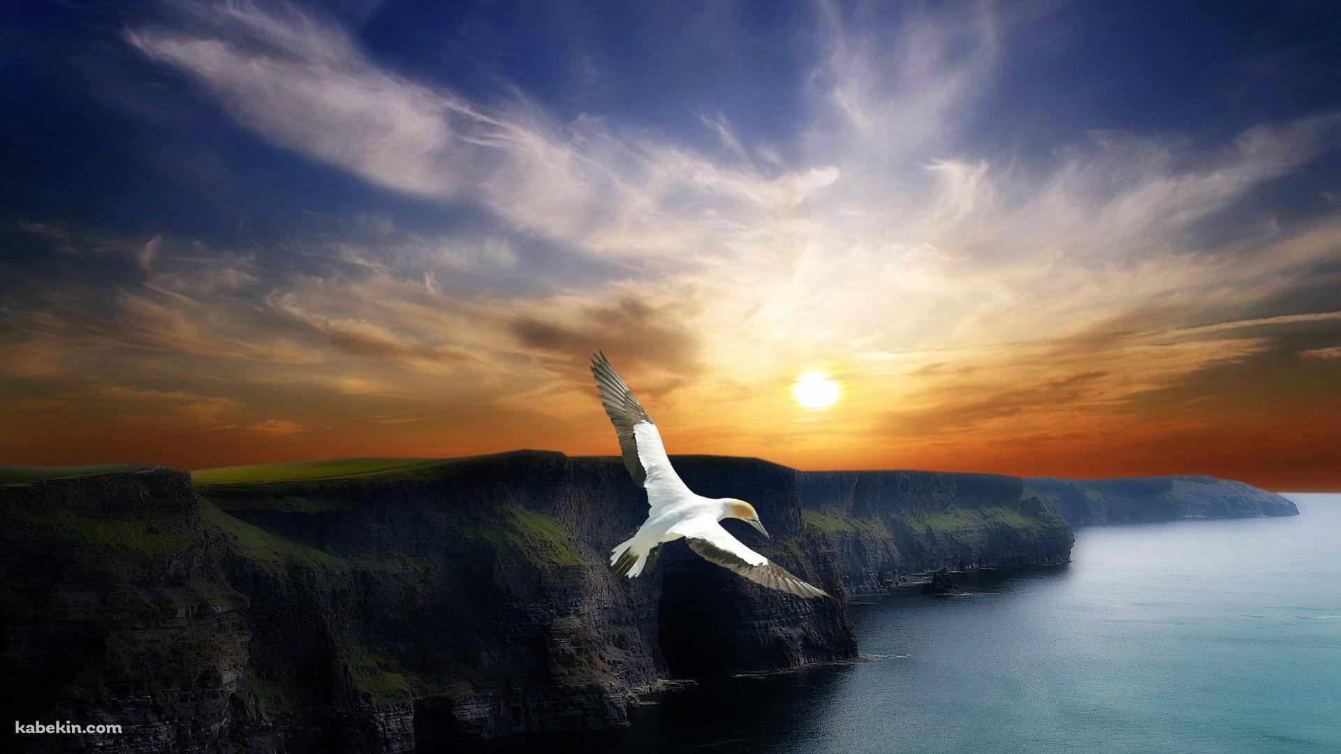 夕日と鳥の壁紙(1920px x 1080px) 高画質 PC・デスクトップ用