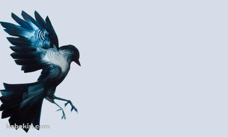 カラス アート 黒い鳥の壁紙(800px x 480px) 高画質 PC・デスクトップ用