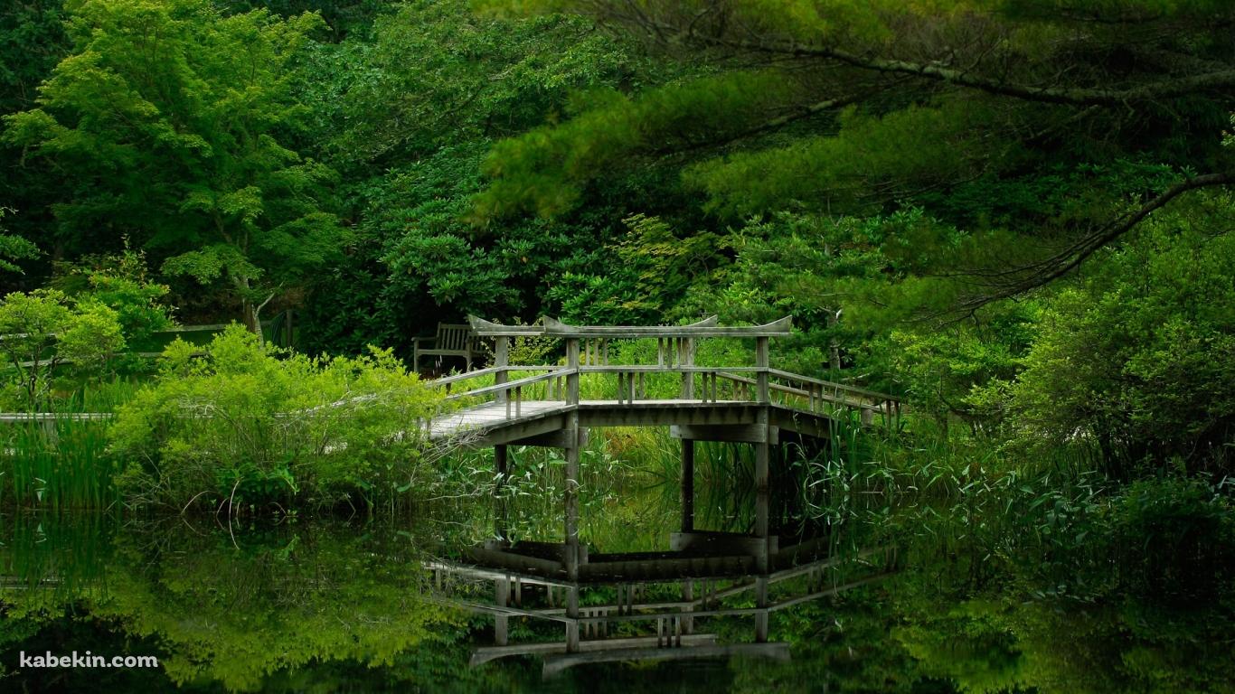 池にかかる木の橋の壁紙(1366px x 768px) 高画質 PC・デスクトップ用
