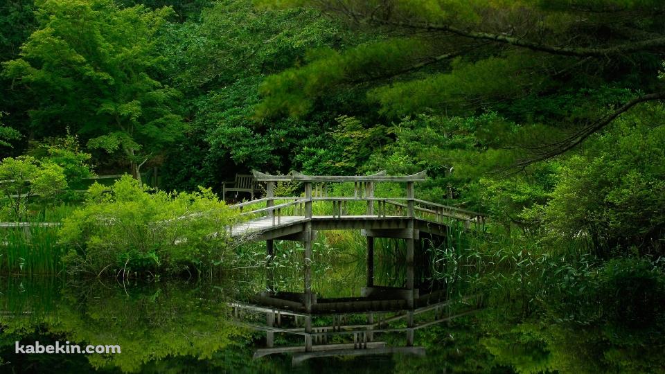 池にかかる木の橋の壁紙(960px x 540px) 高画質 PC・デスクトップ用