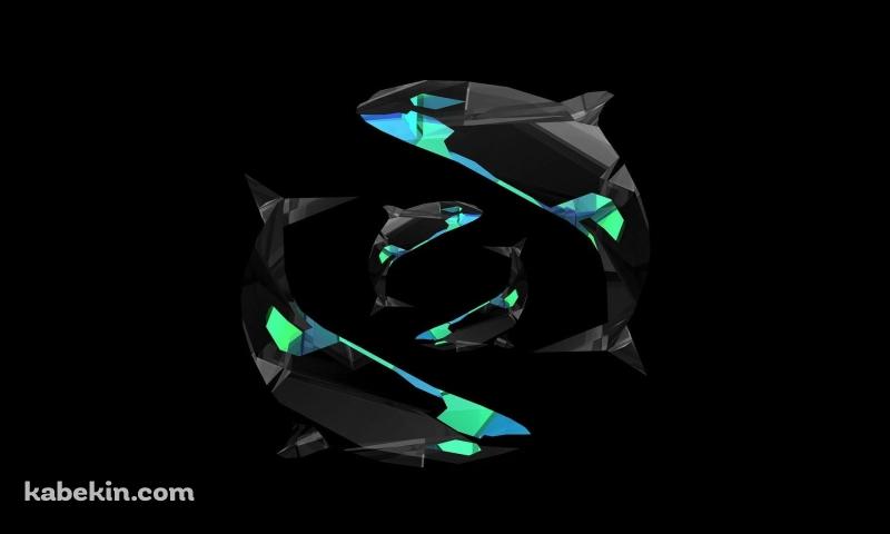 シャチ デジタルアートの壁紙(800px x 480px) 高画質 PC・デスクトップ用
