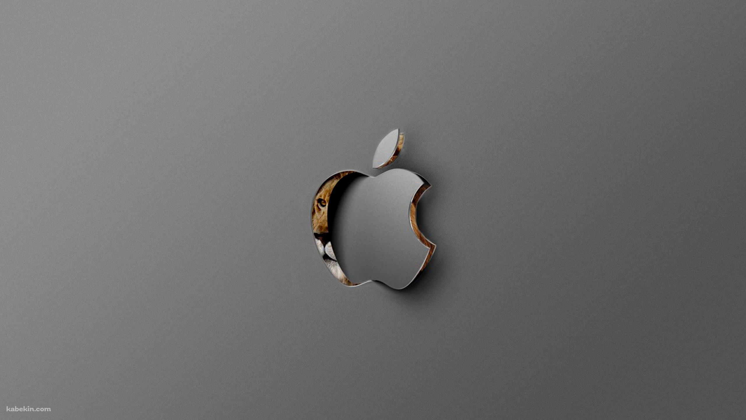 Apple Leopardの壁紙(2560px x 1440px) 高画質 PC・デスクトップ用