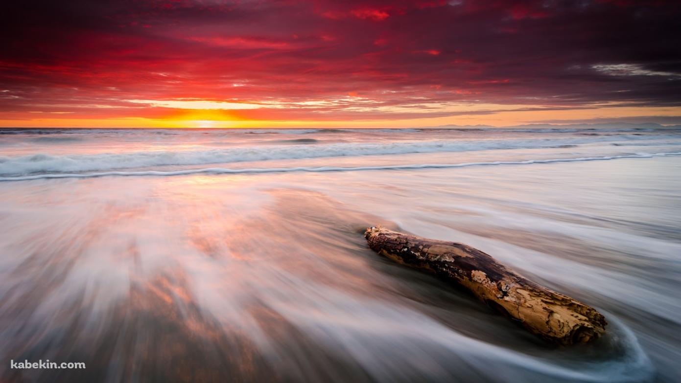 leithfield beachの壁紙(1391px x 783px) 高画質 PC・デスクトップ用