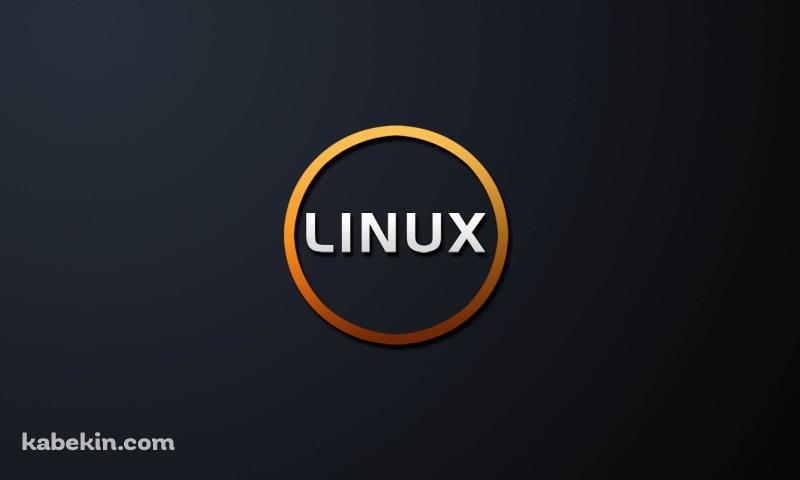 LINUX ロゴの壁紙(800px x 480px) 高画質 PC・デスクトップ用