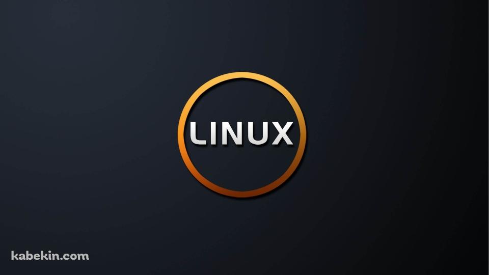 LINUX ロゴの壁紙(960px x 540px) 高画質 PC・デスクトップ用