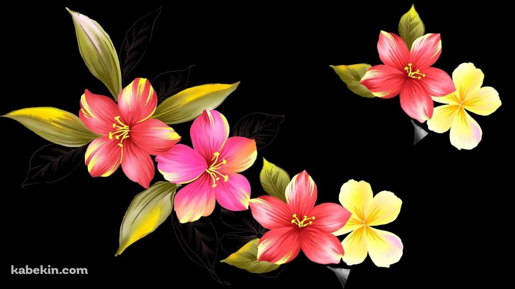 ピンクの花のアートの壁紙(1024px x 576px) 高画質 PC・デスクトップ用