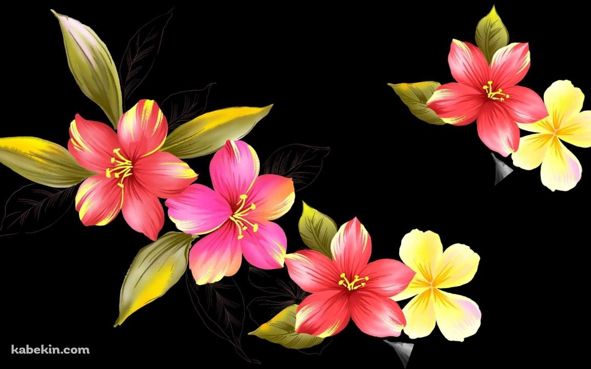 ピンクの花のアートの壁紙(1152px x 720px) 高画質 PC・デスクトップ用