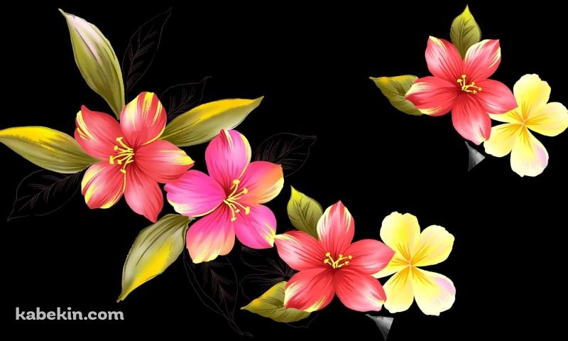 ピンクの花のアートの壁紙(800px x 480px) 高画質 PC・デスクトップ用