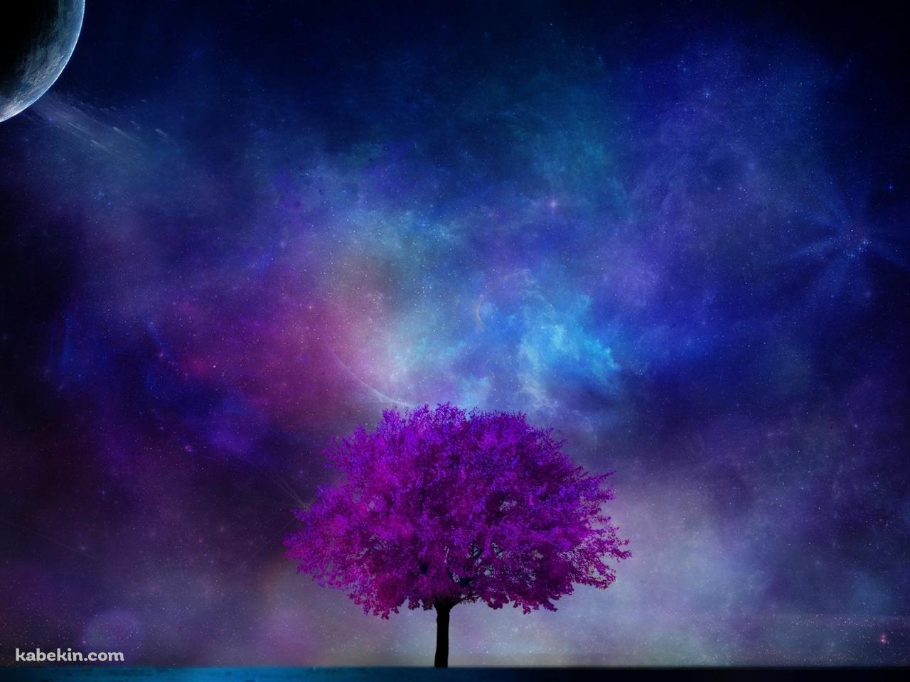 紫の木と銀河の壁紙(1280px x 960px) 高画質 PC・デスクトップ用