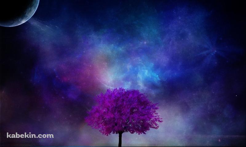 紫の木と銀河の壁紙(800px x 480px) 高画質 PC・デスクトップ用
