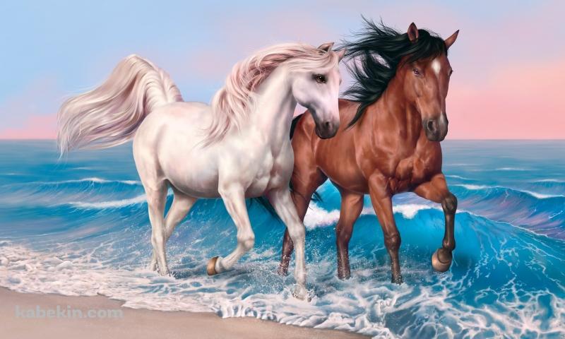 2頭の馬の壁紙(800px x 480px) 高画質 PC・デスクトップ用