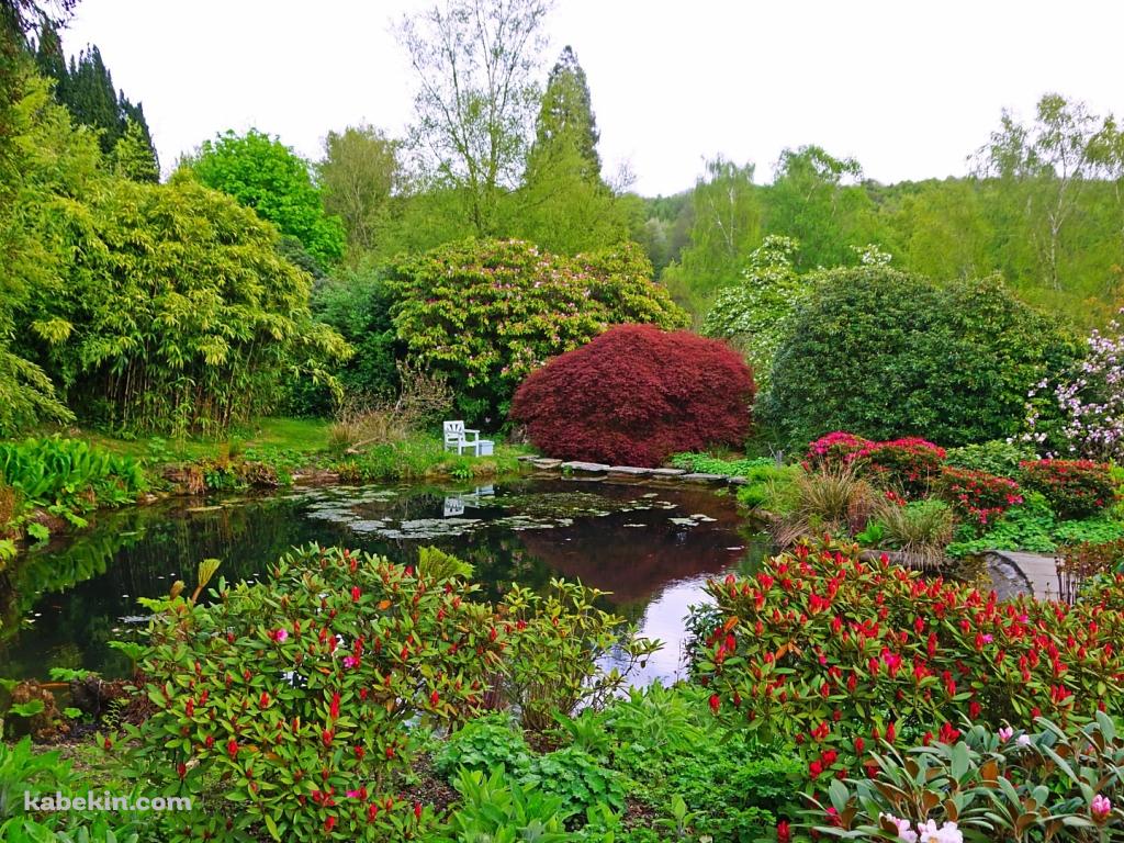 イギリスの緑の庭園の壁紙(1024px x 768px) 高画質 PC・デスクトップ用