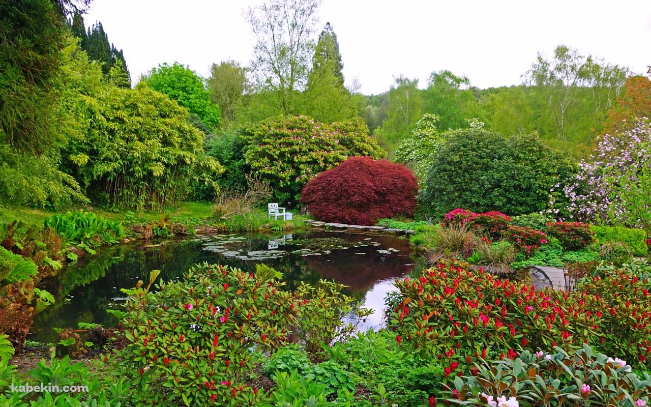 イギリスの緑の庭園の壁紙(1280px x 800px) 高画質 PC・デスクトップ用