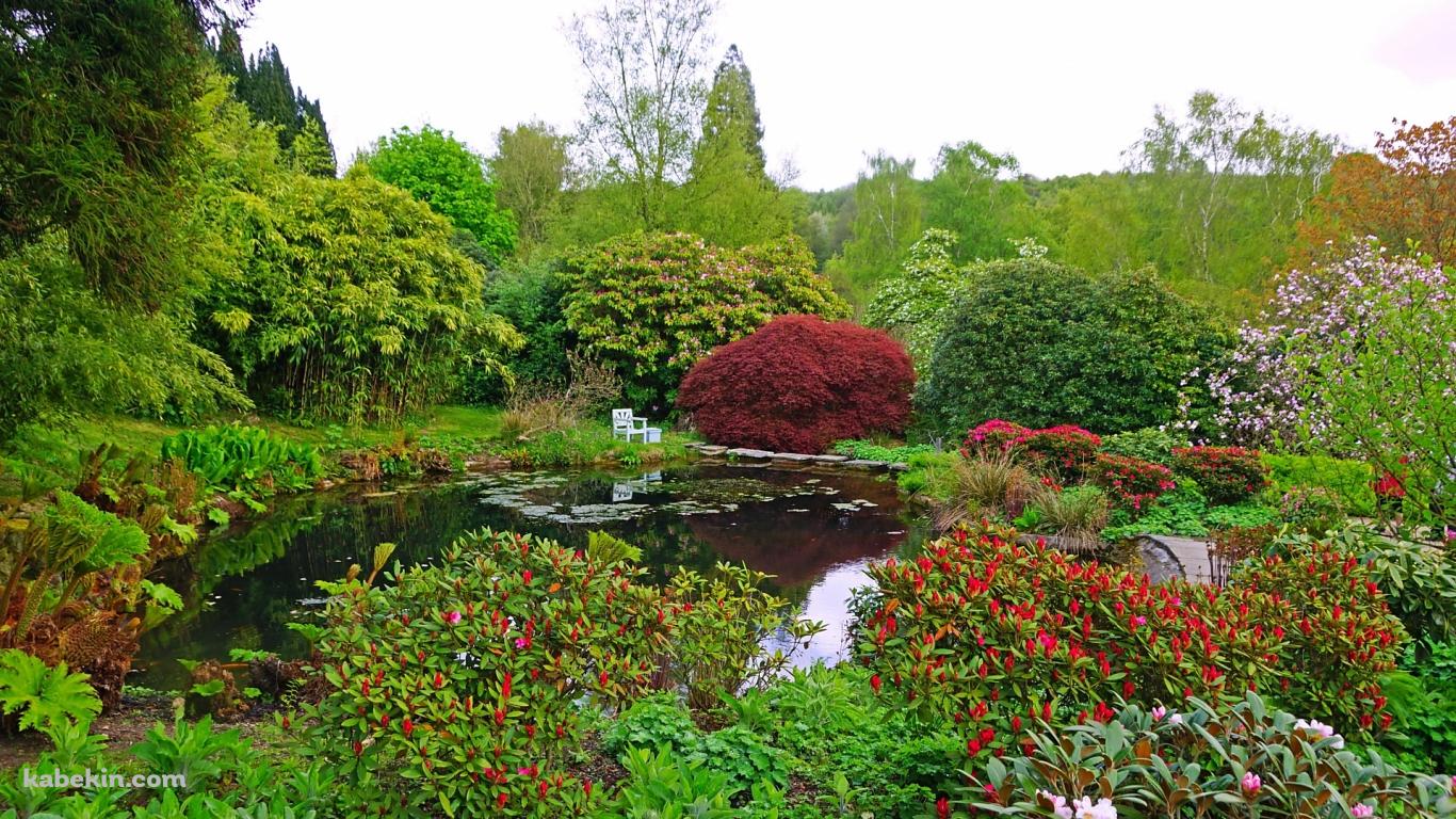イギリスの緑の庭園の壁紙(1366px x 768px) 高画質 PC・デスクトップ用