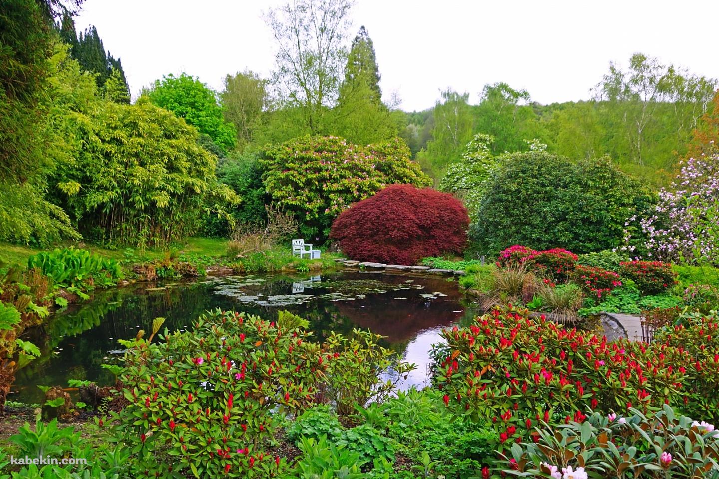 イギリスの緑の庭園の壁紙(1440px x 960px) 高画質 PC・デスクトップ用