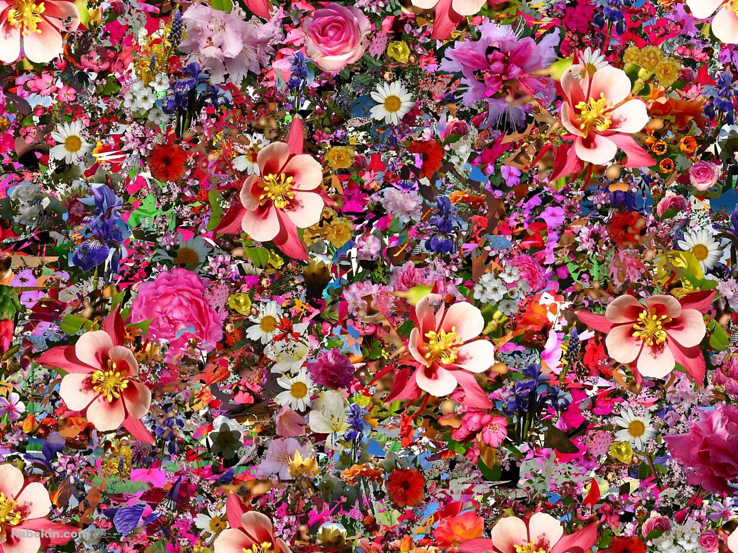 いっぱいの花の壁紙(1440px x 1080px) 高画質 PC・デスクトップ用