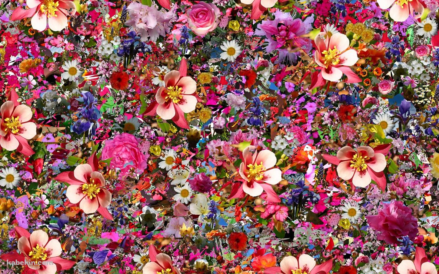 いっぱいの花の壁紙(1440px x 900px) 高画質 PC・デスクトップ用
