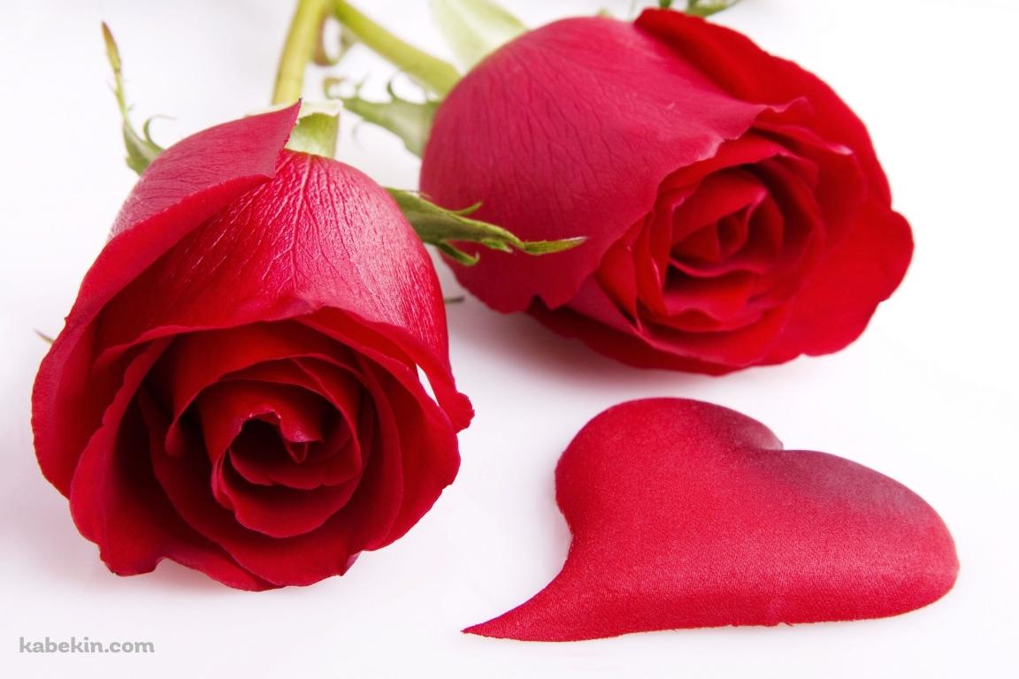 ハートと薔薇の壁紙(1152px x 768px) 高画質 PC・デスクトップ用