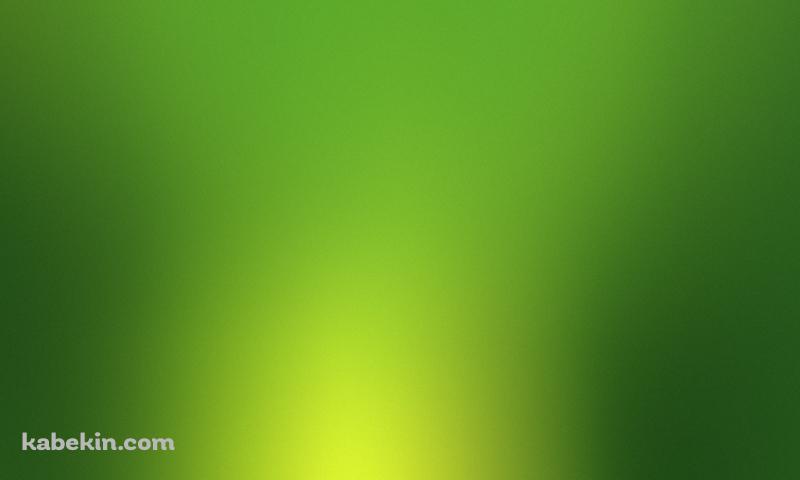 グリーンの壁紙(800px x 480px) 高画質 PC・デスクトップ用