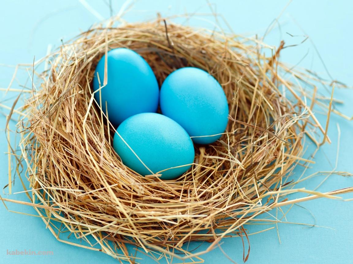 カラフルなタマゴの壁紙(1152px x 864px) 高画質 PC・デスクトップ用