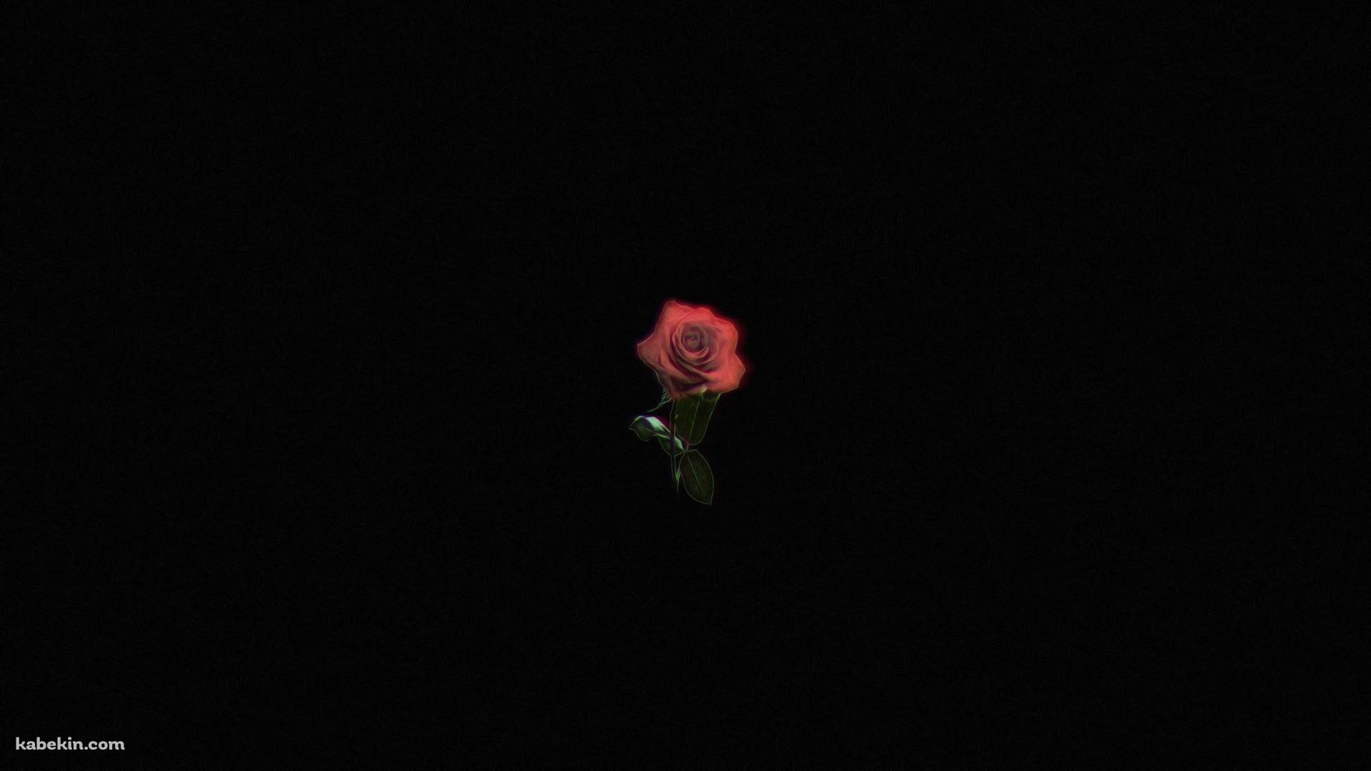 ミニマルな一輪の薔薇の壁紙(1920px x 1080px) 高画質 PC・デスクトップ用