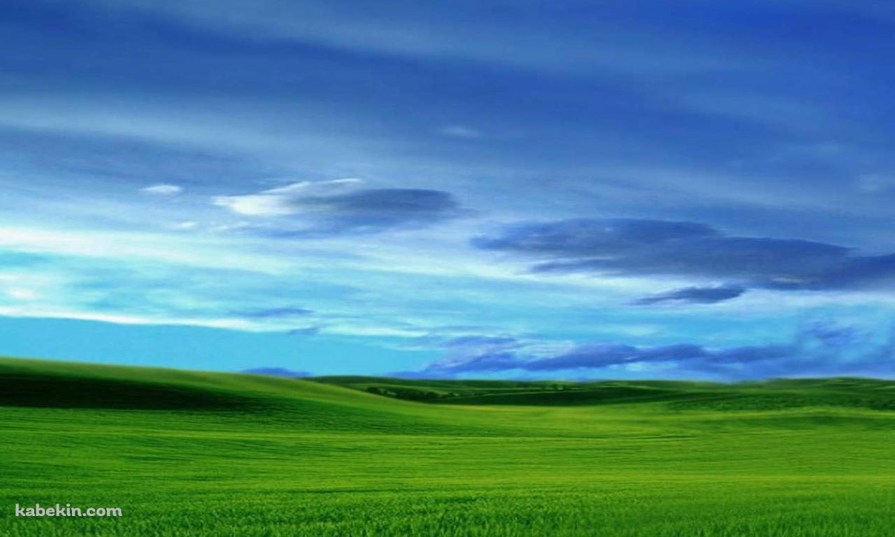 青い空と緑の草原の壁紙(1280px x 768px) 高画質 PC・デスクトップ用